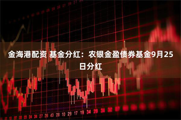 金海港配资 基金分红：农银金盈债券基金9月25日分红